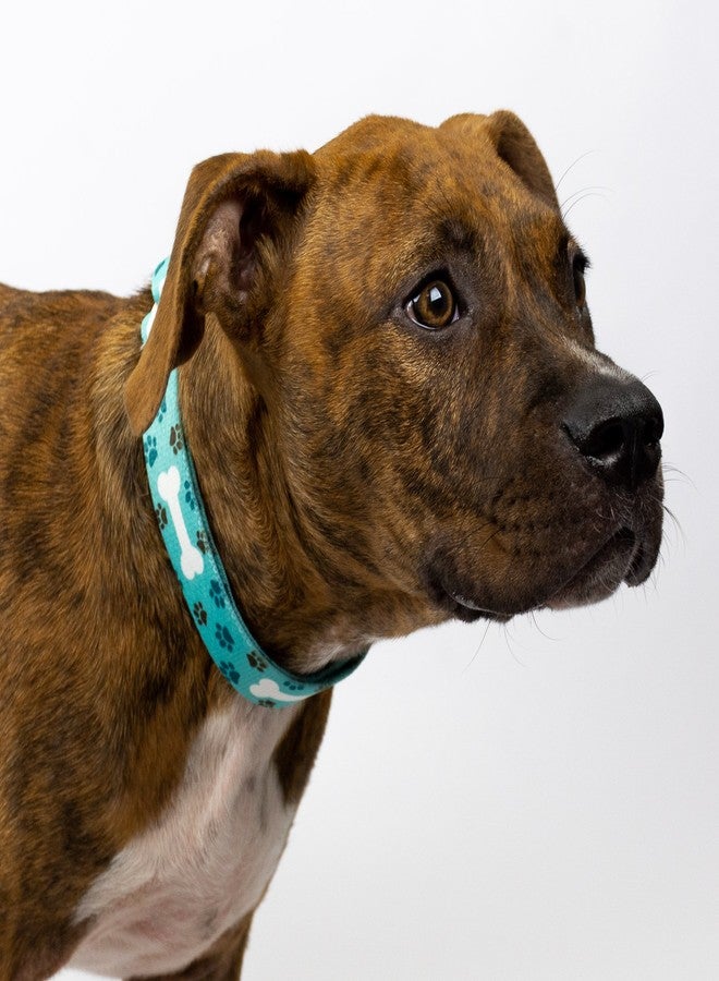 كانتري بروك ديزاين طوق ومقود مارتينجال للكلاب من كانتري بروك بيتز - أوه ماي دوغ - مجموعة حياة الكلاب بتصاميم مرحة (1 بوصة، متوسط) - Image 3